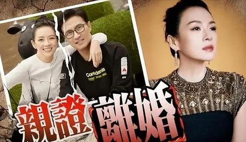 刘大锤最新爆料张彬彬视频,揭秘幕后精彩瞬间  第3张