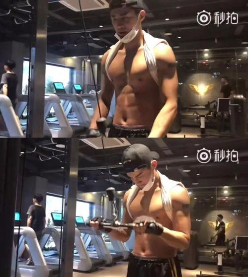 独家爆料健身视频完整版,健身达人完整版视频教程,助你高效塑形! 第1张 独家爆料健身视频完整版,健身达人完整版视频教程,助你高效塑形! 第1张